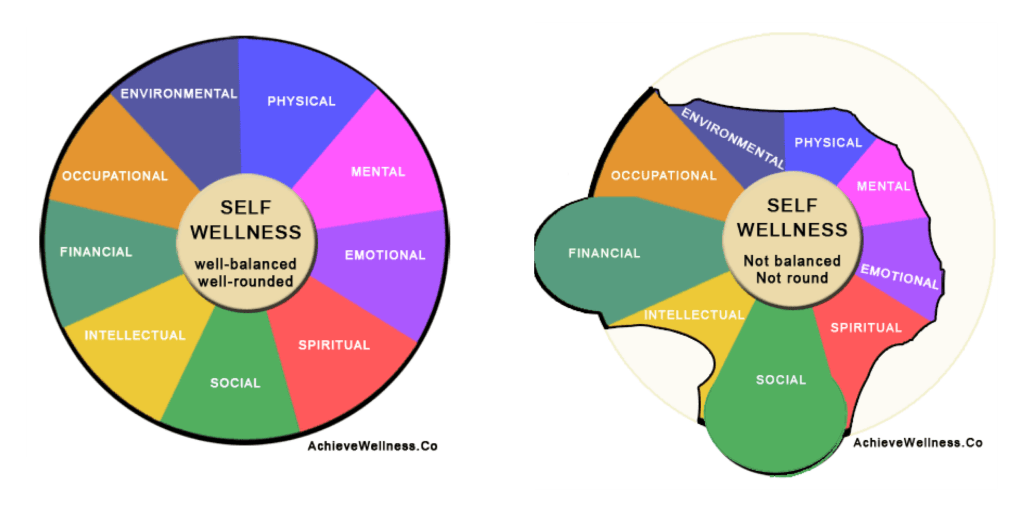 Wellness Wheel, Components of Health, Components of Wellness, What is Health, What is Wellness, Project School Wellness, Janelle Kay