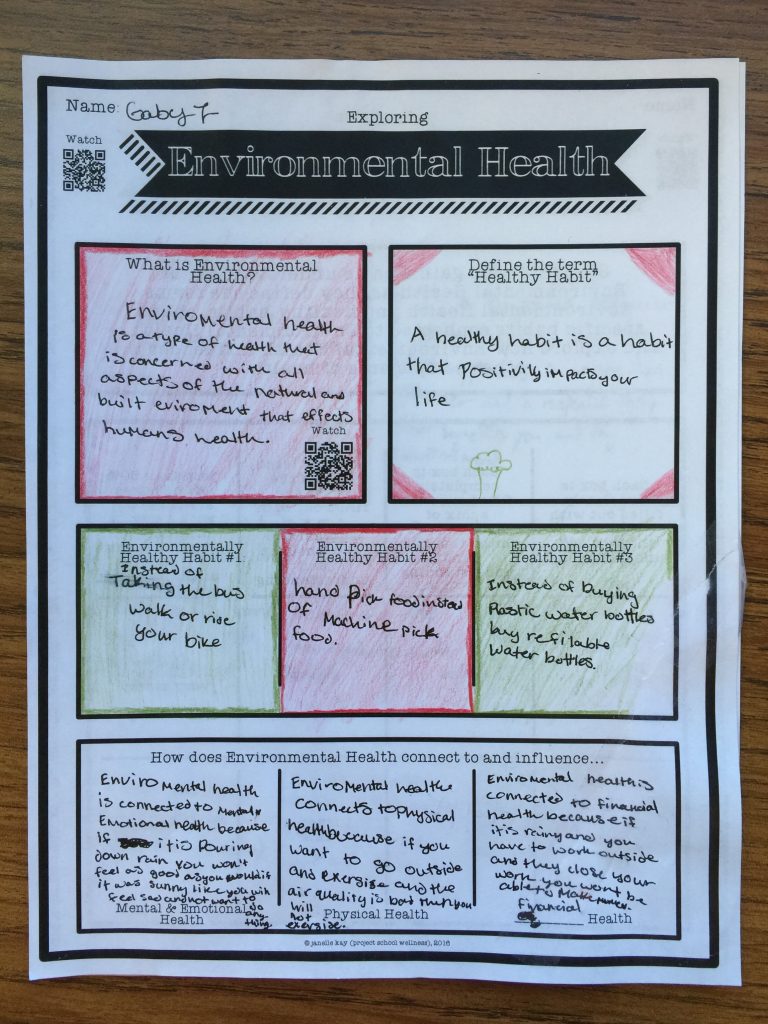 What is Environmental Health?, Components of Health, Dimensions of Health, Project School Wellness, 