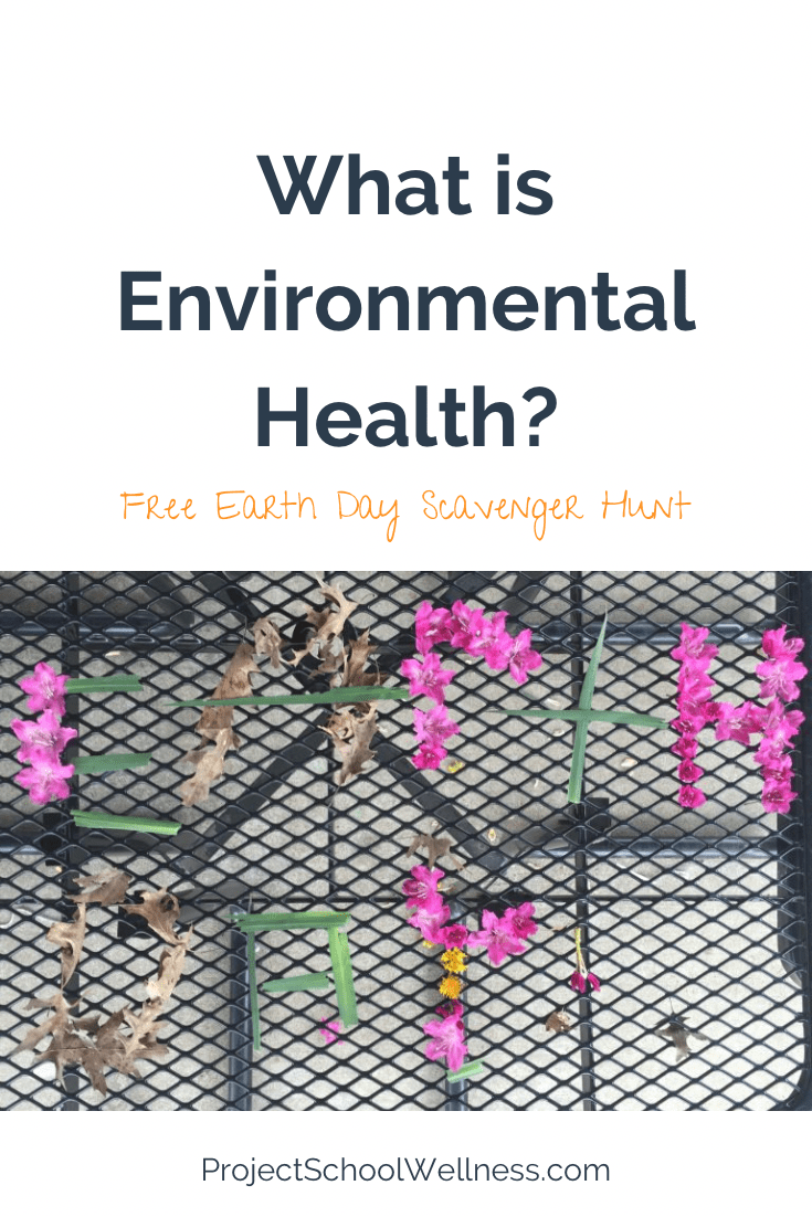 What is environmental Health? A guide for teaching environmental health from project school wellness with free lesson plans What is environmental Health? A guide for teaching environmental health from project school wellness with free lesson plans