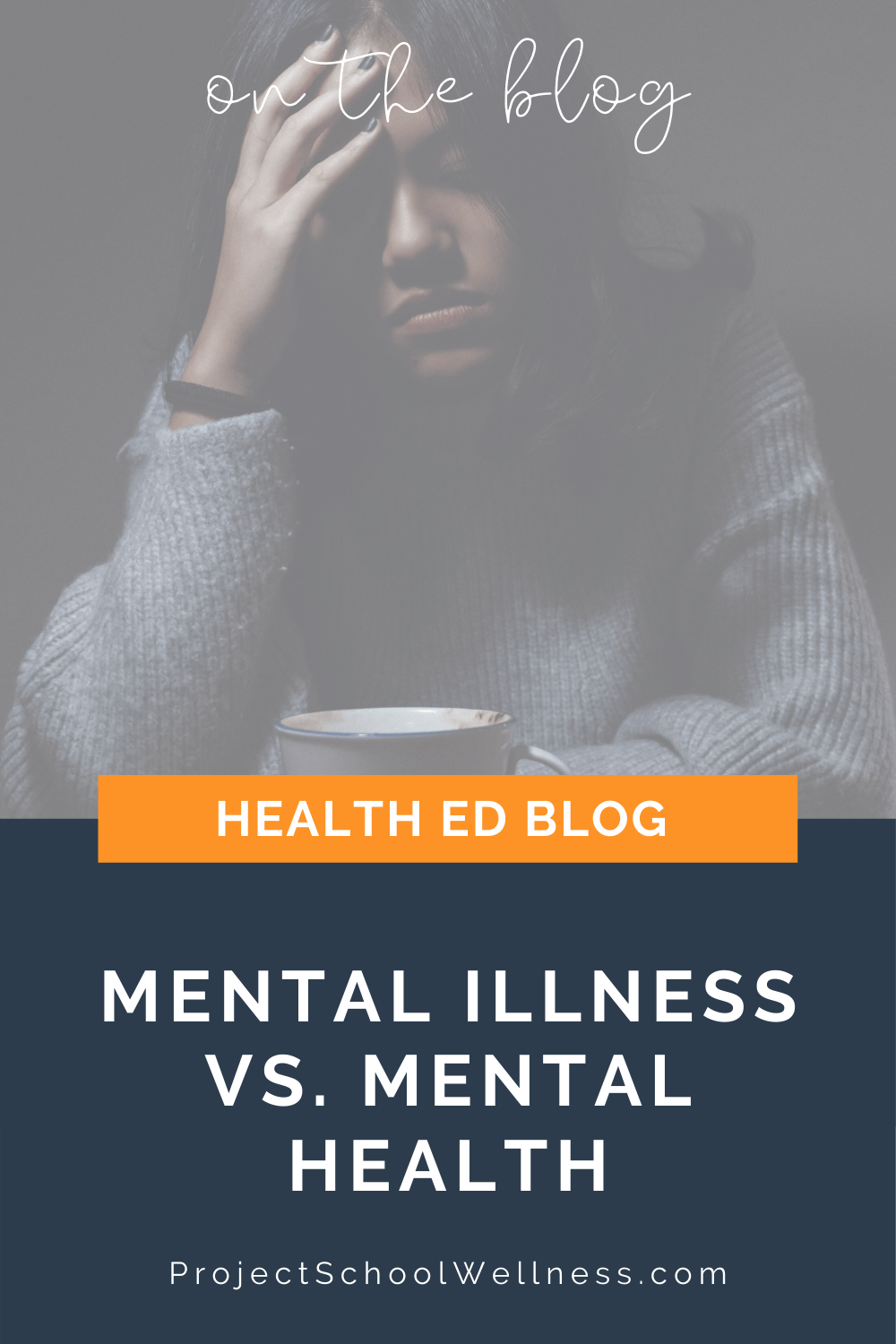 Health Education Blog - Understanding the difference between Mental Illness and Mental Health - Tips for boosting students' Mental Health - Project School Wellness