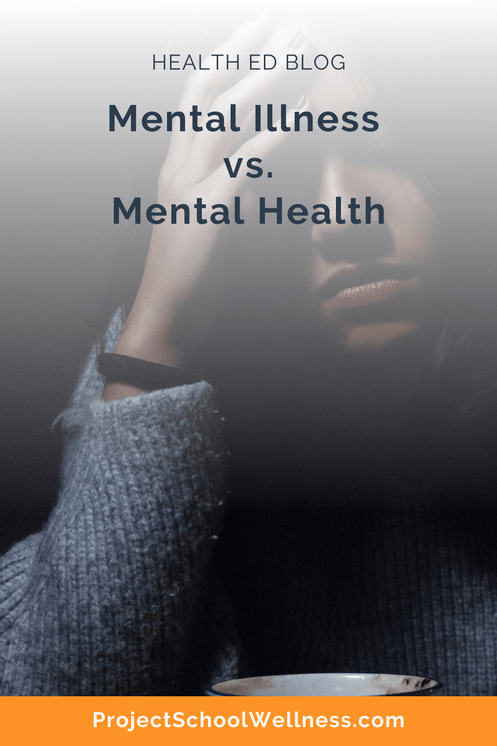 Health Education Blog - Understanding the difference between Mental Illness and Mental Health - Tips for boosting students' Mental Health - Project School Wellness