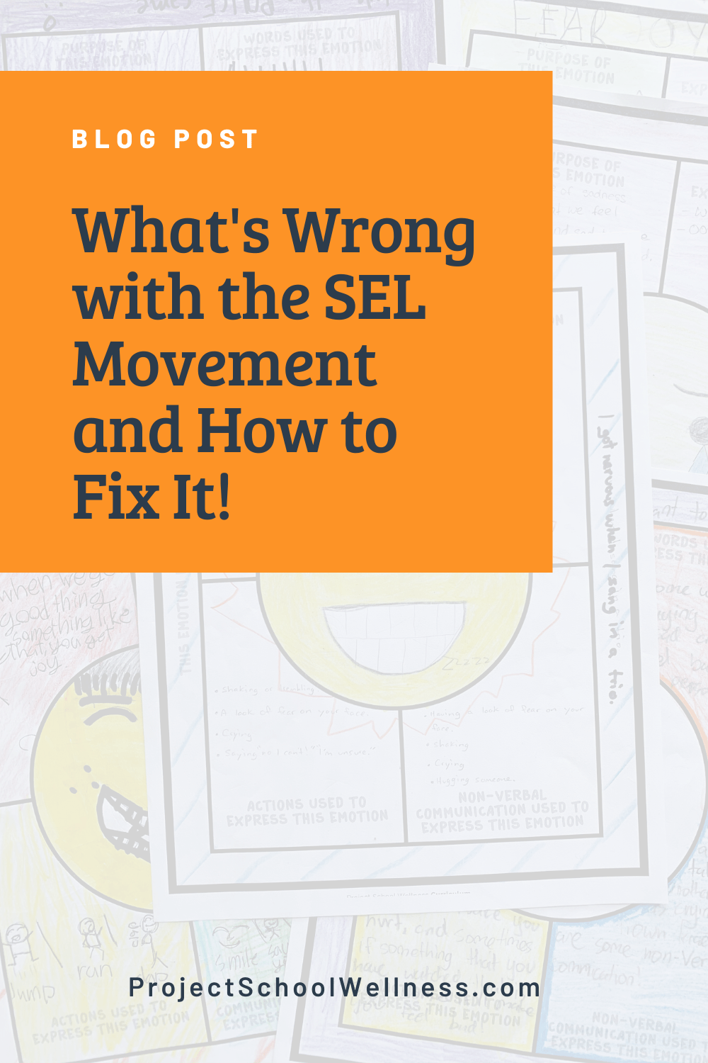 The Importance of Social Emotional Learning and Why Health Teachers Should be Leading the Way - What's wrong with the SEL Movement and How to Fix It The Importance of Social Emotional Learning and Why Health Teachers Should be Leading the Way - What's wrong with the SEL Movement and How to Fix It